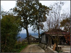 DSC09439