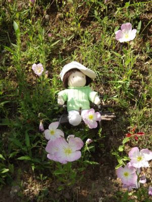町田いずみ浄苑フォレストパーク 町田いずみ花図鑑 暖かいですね 町田いずみ浄苑フォレストパーク メモリアルアートの大野屋