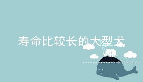 寿命比较长的大型犬 狗的寿命 狗的寿命有多长 宠伴网