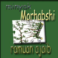 logo morha