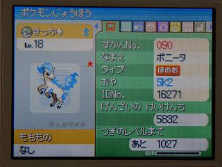 七つの海の空の上 ポケモンプラチナ日記８ 色違いポニータｇｅｔ