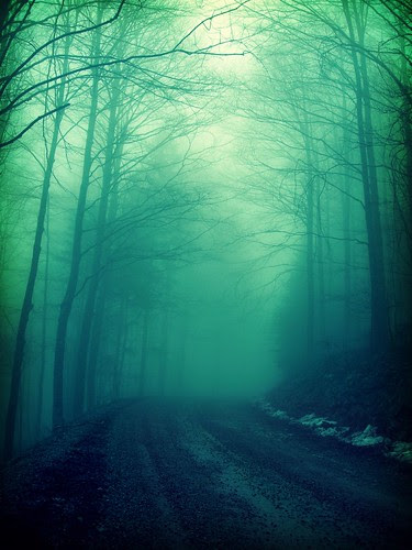 Vampire Season (by Annadriel)