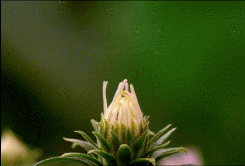 023.gif