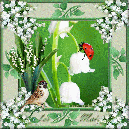 Muguet Coccinelle