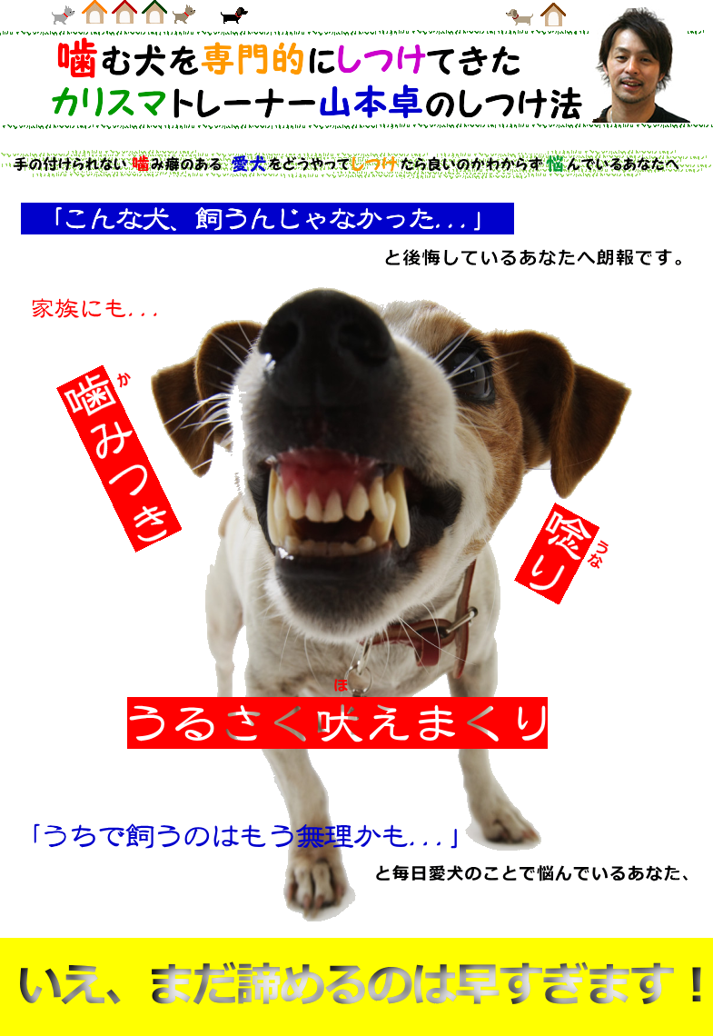 犬のしつけ 噛む犬の専門トレーナー山本卓のしつけ法