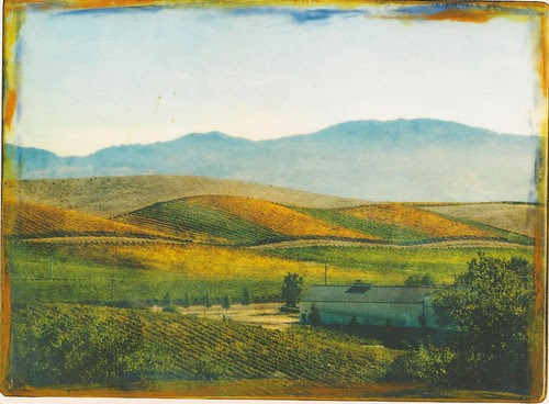 Artesia Vineyard, and Winery, Napa County
