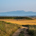 El Moncayo a finales de Junio, desde Tudela