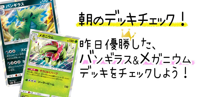 ジムバトル優勝デッキ バンギラス メガニウムデッキ ポケカ ポケモンカード151