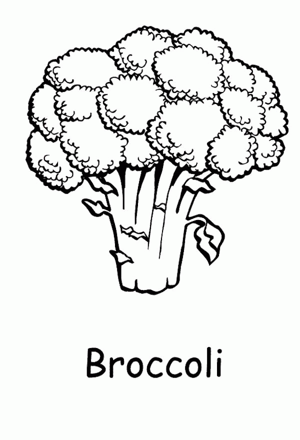 Broccoli Coloring Page - Coloring Home