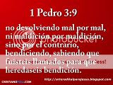 1 Pedro 3.9