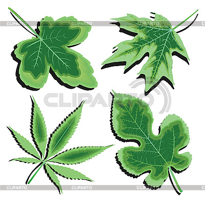Clip Art Leaves Black And White. Clipart | Image Directory