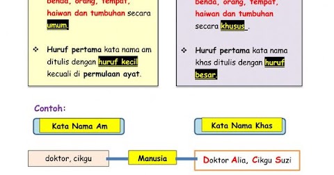 contoh kata nama am haiwan