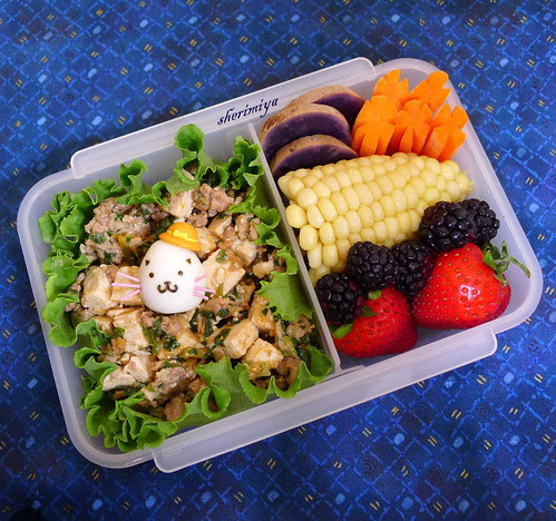 Mapo Tofu Kitty Bento by sherimiya ♥