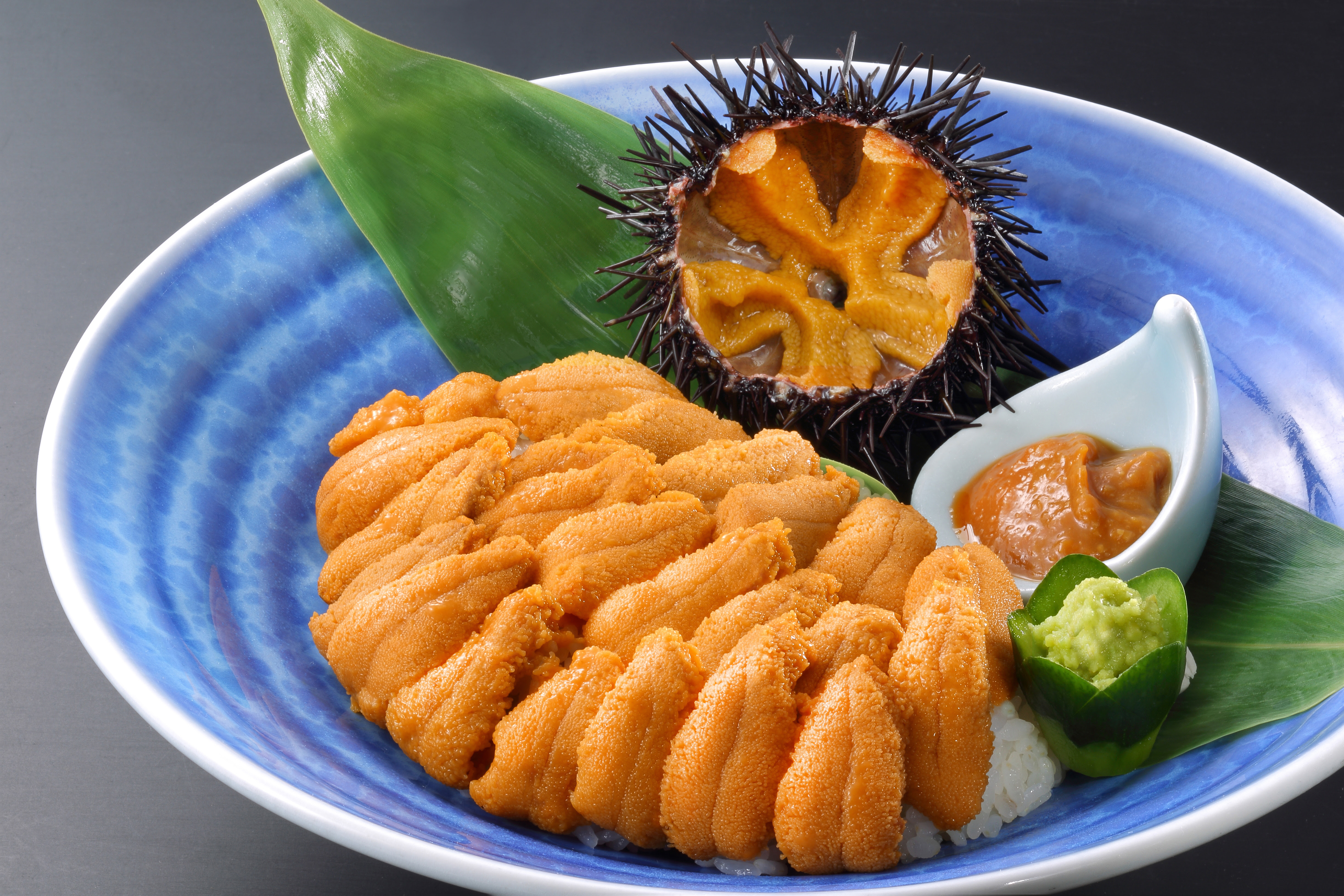 ლ おいしいウニの季節です 南三陸キラキラうに丼 ときめきピチピチ便り