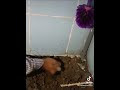 Dịch vụ dò tìm rò rỉ nước ngầm tại Đà Nẵng