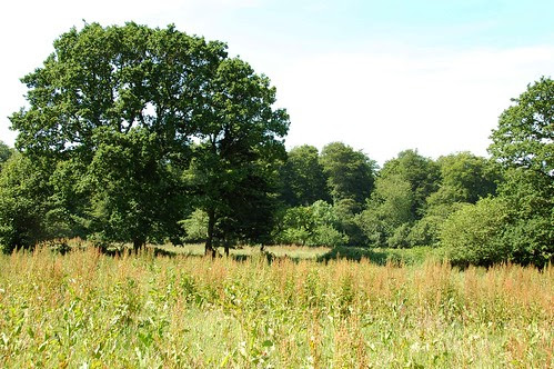 in the field today