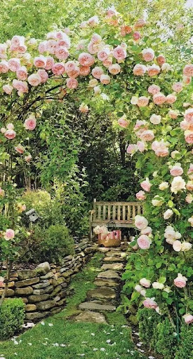 Garden Photo