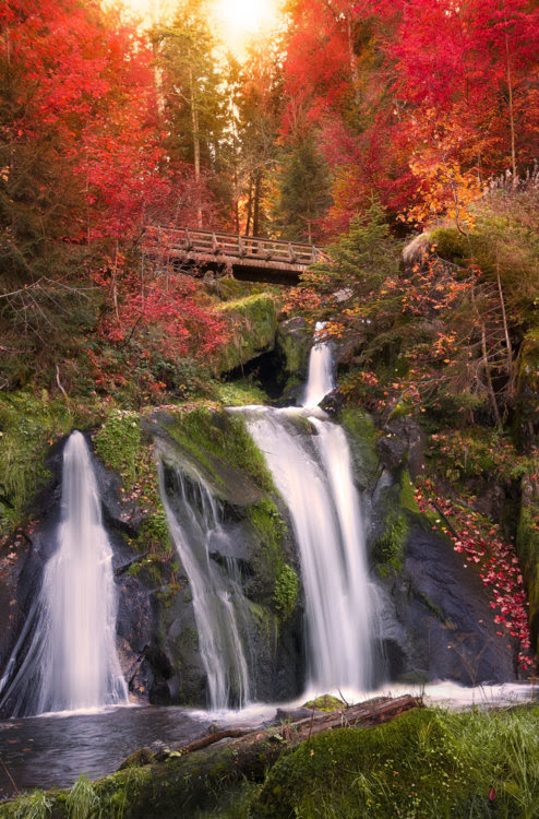 Black Forest Waterfall, Triberg, Germany