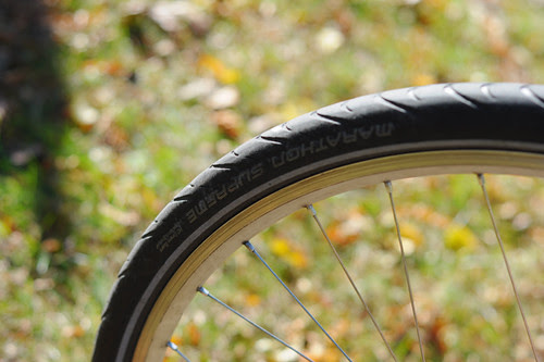 Susan's Pink Sketchy