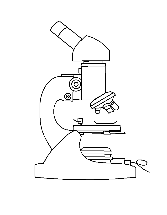 unlabelled diagram of the microscope - Clip Art Library