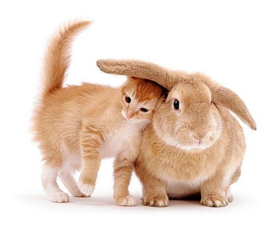 So Cute