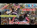 コレクション ワンピース ���ィギュア ペローナ 240891-���ンピース ペローナ フィ��ュア 幼少期