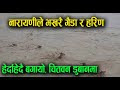 Narayani drowned, Chitwan completely submerged (with video)