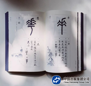 首页