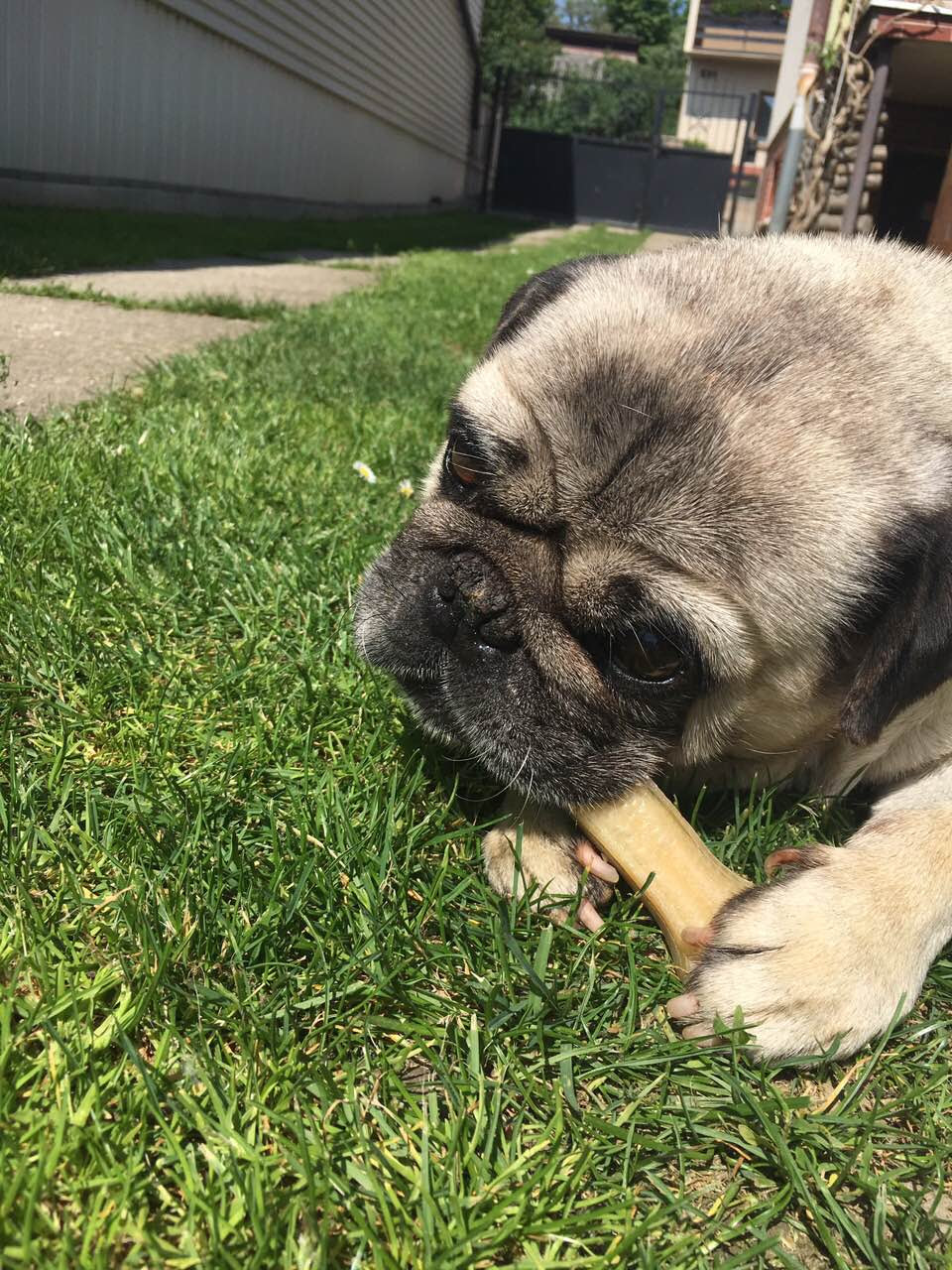  James Blunt Jennifer Lopez Jordin Sparks Justin Bieber Katy Perry 