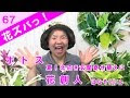 √99以上 寄せ植え 玄関 ガーデニング シンプル 133165