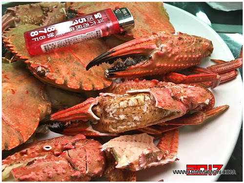 鮮定味19.jpg