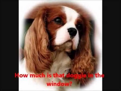 Rear Window In Afrikaans