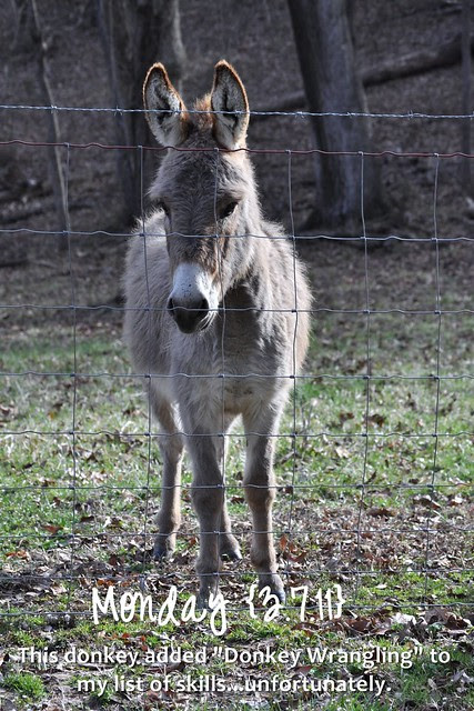 365 Pics - Page 066