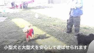 イオンモール和歌山 イオンペット