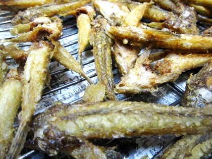 ガッチョ 意味とはフレーズ表現辞典