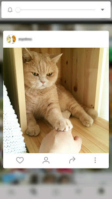 fitur pop-up preview instagram