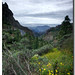 CARRETERA DE AYACATA.GRAN CANARIA