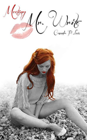 Meeting Mr. Write (Mr. Write Trilogy, #1)