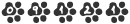Free Website Counter