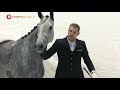 Jaw-Dropping Routine Shows The Unbelievable Bond This Trainer Shares With His Beautiful Horse
