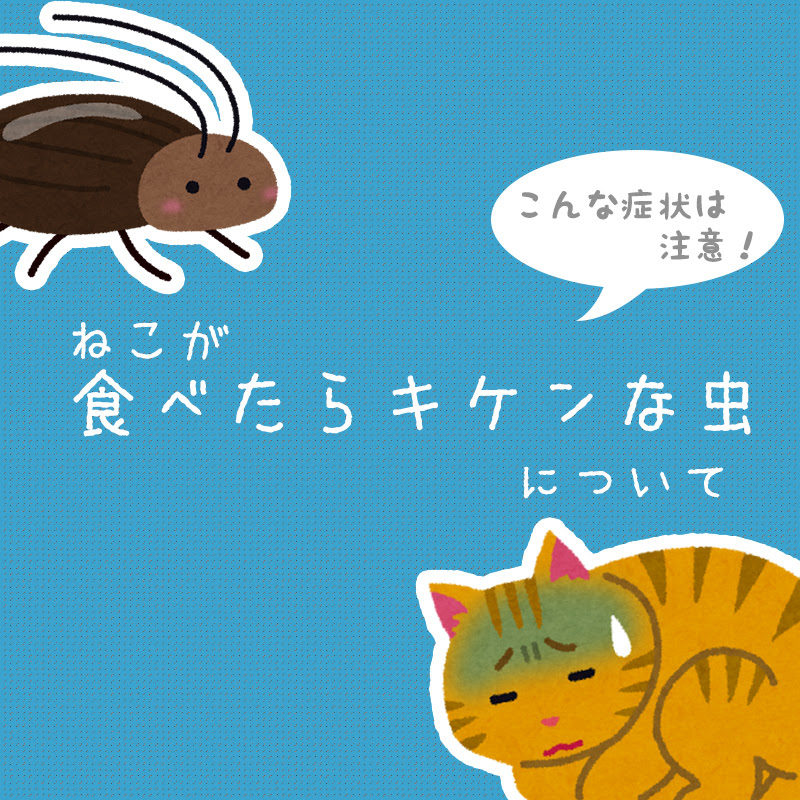 獣医師監修 猫がゴキブリを食べる 食べたら危険な虫や注意したい症状について 猫の総合情報サイト ペットスマイルニュースforネコちゃん