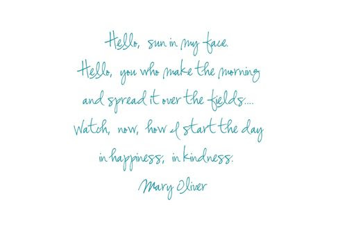 Mary oliver quote