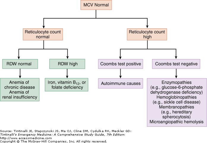 93.5 flow chart related with health Texts Tips : topics (3 Hematology 93.5 flow chart related with health Texts Tips : topics (3 Hematology