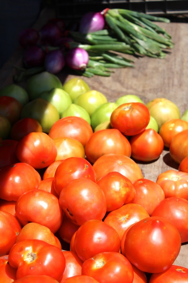 washington DC and virginia farmer's market
