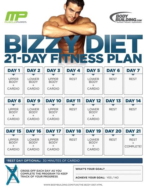 bizzy diet day fitness plan overview health