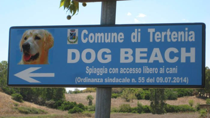 Spiagge Per Cani Sardegna 2019 Le 34 Dog Beach Dellestate