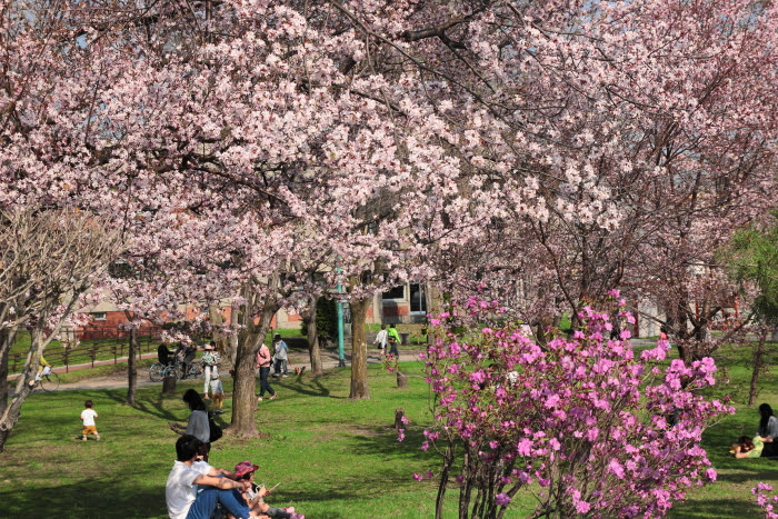常磐公園 あさひかわの公園 公益財団法人旭川市公園緑地協会
