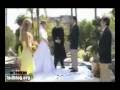 Most Wanted Funny Videos