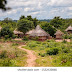 Village - Kawaza Village South Luangwa National Park Zambia / The village has a population of 9,256 citizens and 20 full time fire personnel.