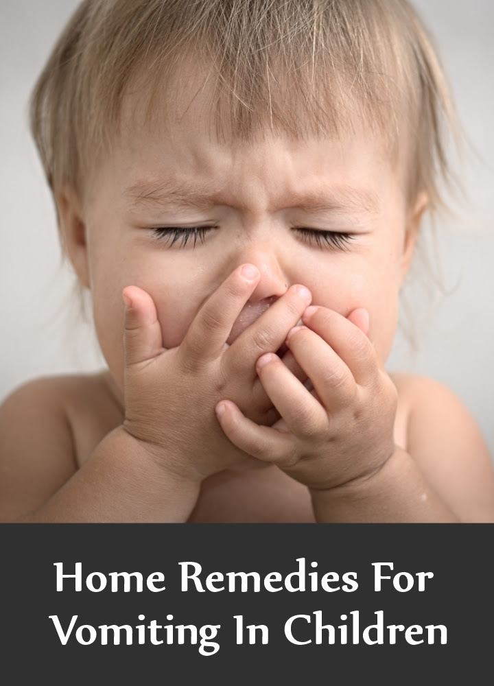 chihuahua upset stomach home remedy